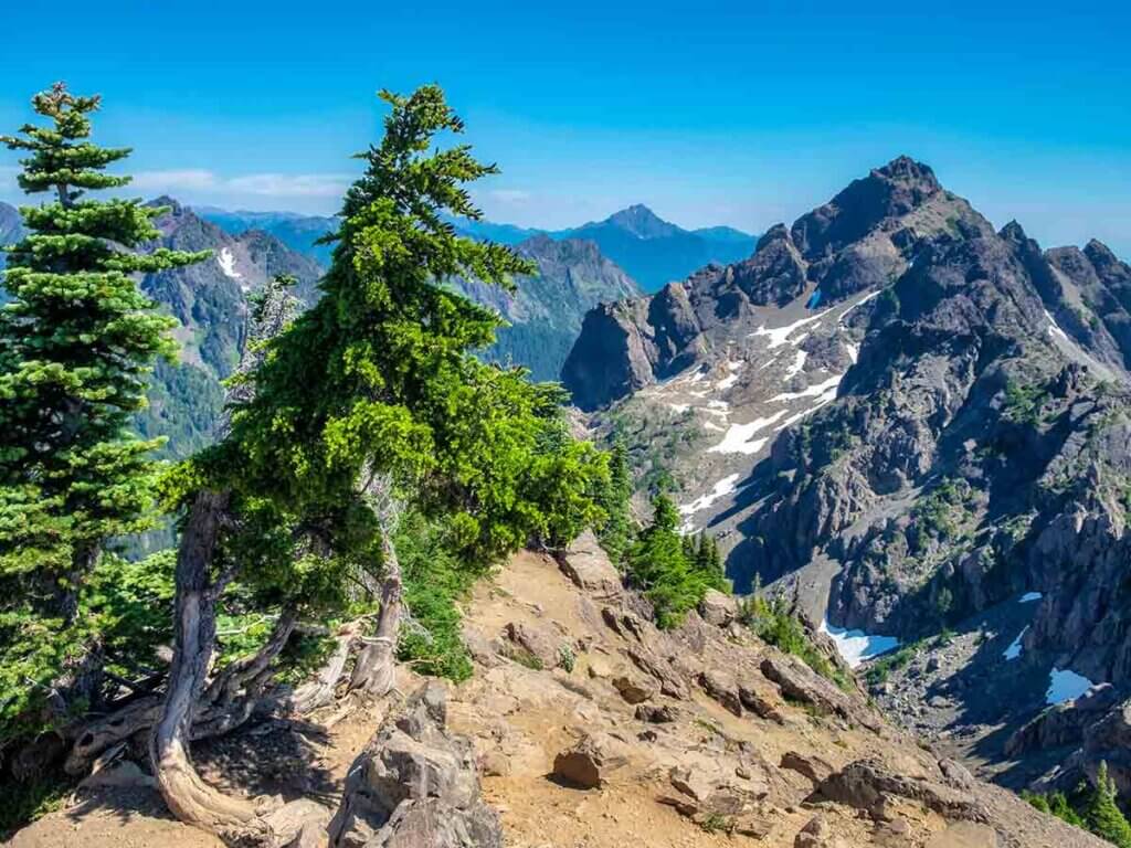 Mount Ellinor Trail in Washington