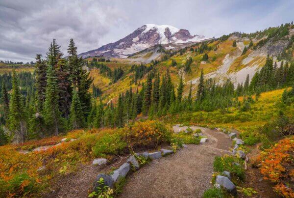 Harry's Ridge Trail in Washington