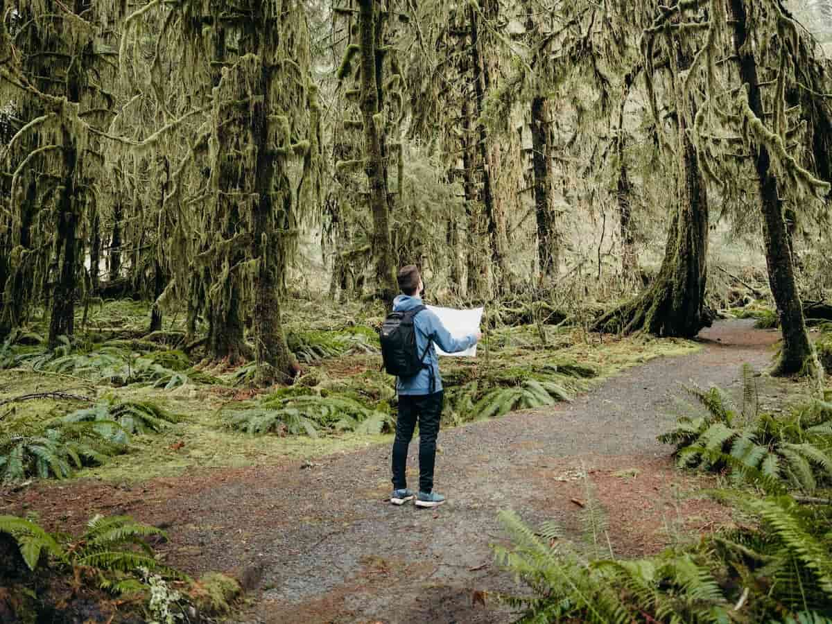 a hiker holds a map along a path in the olympic national park in washington state