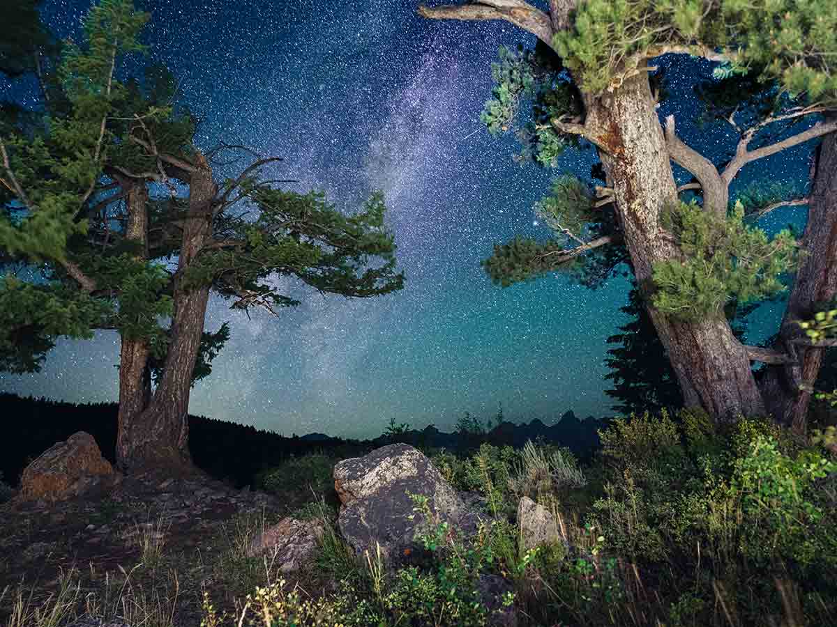 Grand Teton National Park starry night sky
