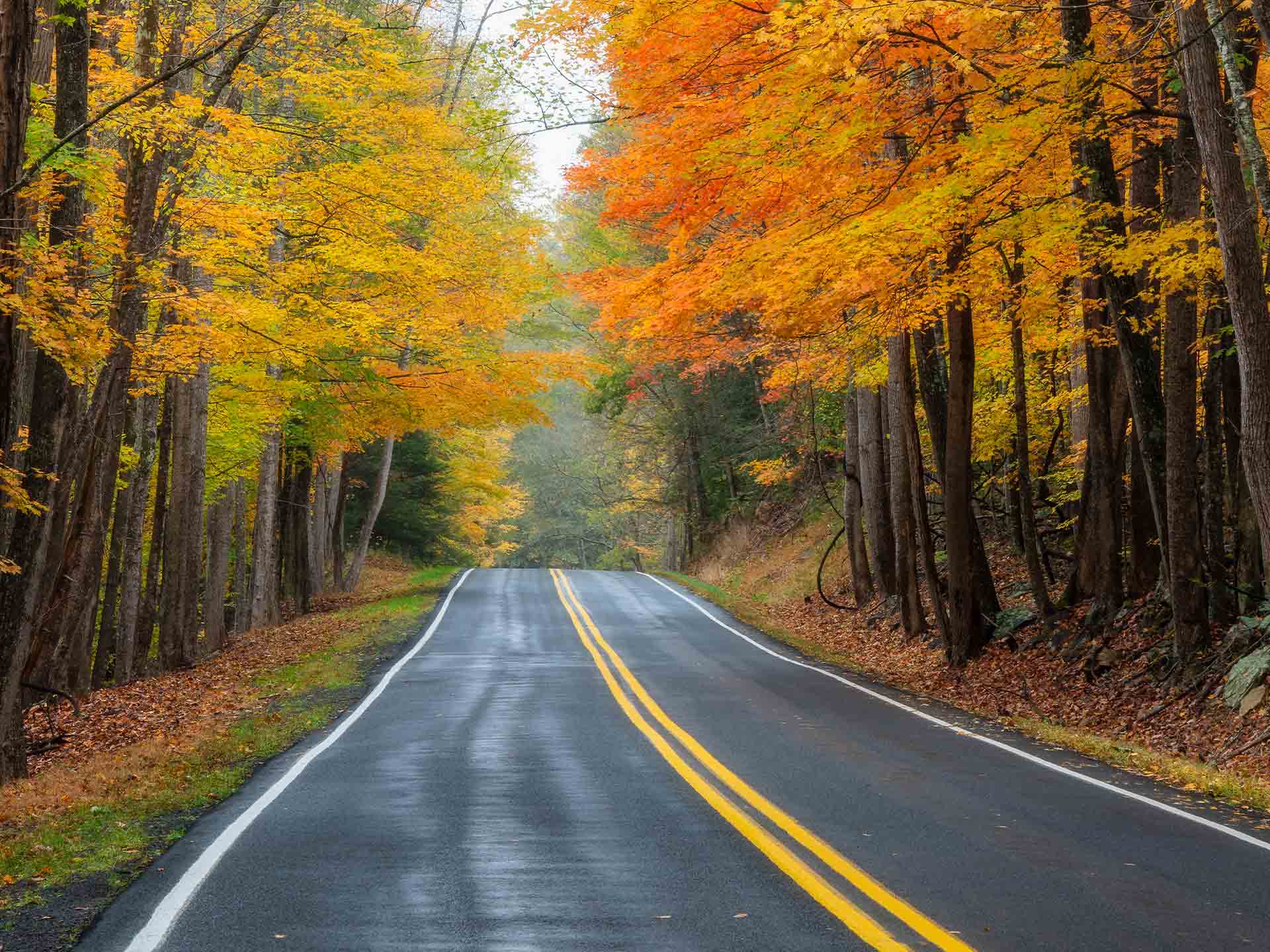 The Best Scenic Drives and Byways in Virginia