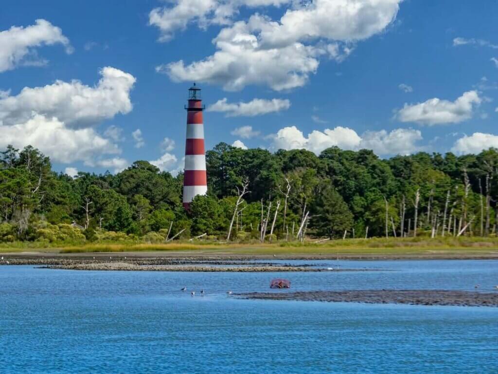 a red and white lighthouse emerging from the trees on assateague island
